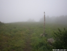 Cold Mountain in Fog