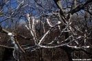 Frozen Fog by OutbackHack in Views in Virginia & West Virginia