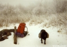 Winter on Bob Bald by Tipi Walter in Special Points of Interest