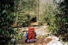 South Fork Citico Creek Crossing