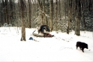 Wintery Iron Camp on the South Fork by Tipi Walter in Special Points of Interest