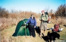 Luna and Six String on the Bob by Tipi Walter in Other People