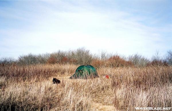 Hilleberg Tent on the Bob