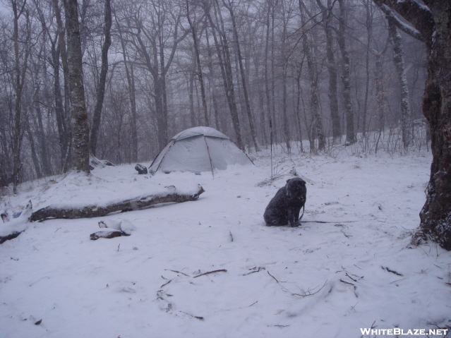 After The Blizzard