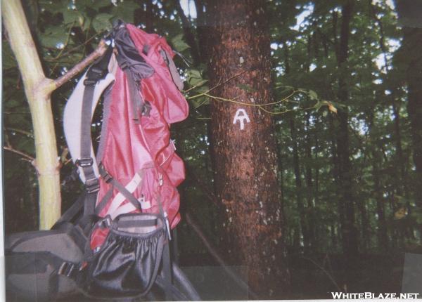 Dana Pack on the AT at Walker Gap