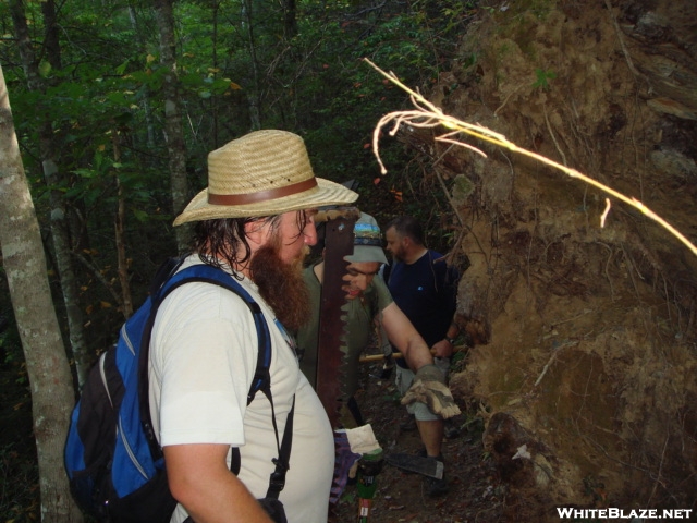 Ed Bell Surveys A Root Ball