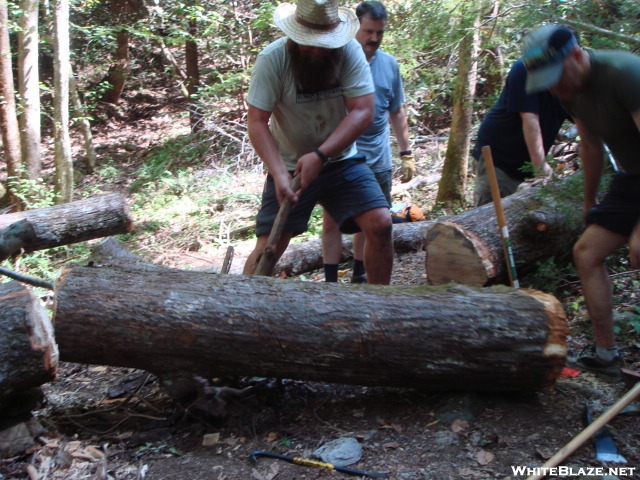 Ed Bell Moves The Mean Log