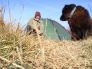 Still Life With Dog by Tipi Walter in Tent camping