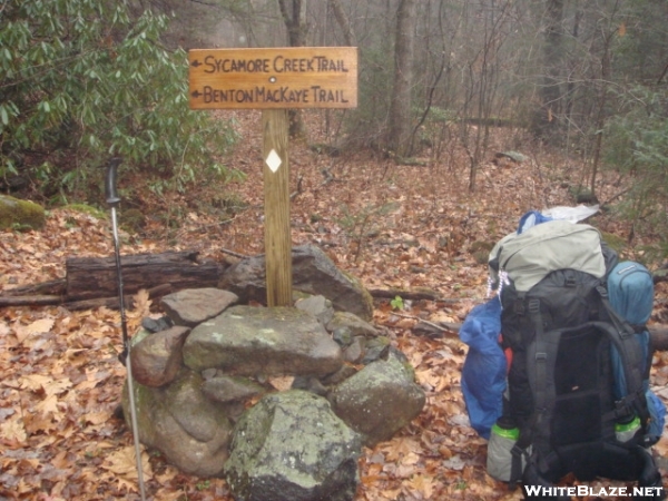 New Trailpost on Sycamore Creek/BMT/Dec'07