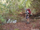 Along the BMT at Brookshire Crossing by Tipi Walter in Benton MacKaye Trail