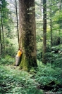 Danged Tree Hugger by Tipi Walter in Views in North Carolina & Tennessee