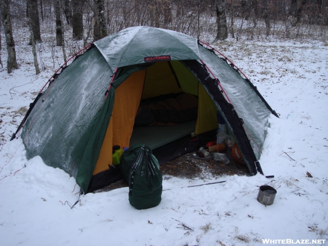 Staika In The Snow