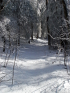 The Brookshire Trail Gets Deeper by Tipi Walter in Views in North Carolina & Tennessee