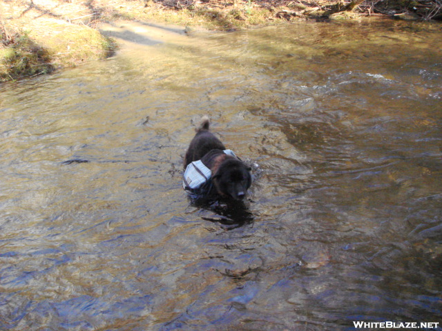 Shunka Crosses The Cold Upper Bald