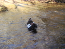 Shunka Crosses The Cold Upper Bald by Tipi Walter in Views in North Carolina & Tennessee