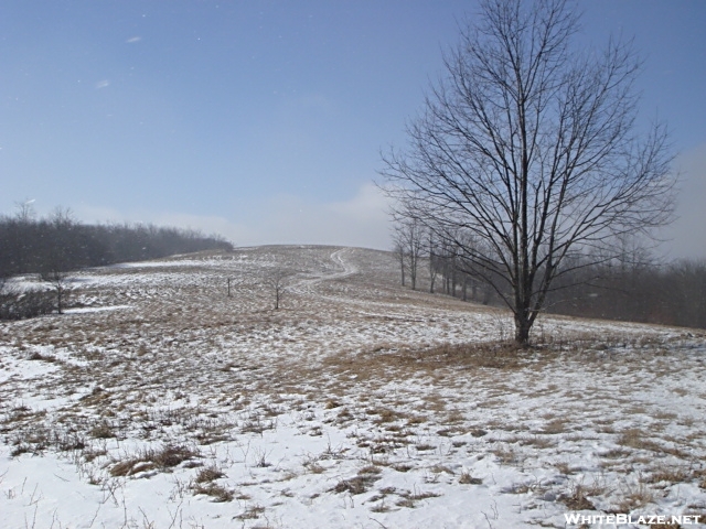 Winter Atop Whiggs Meadow