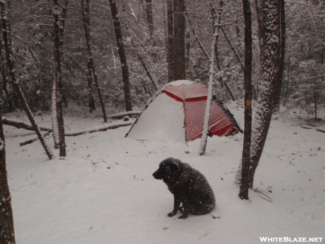 Snow In The Bald River Wilderness