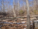 The Upper Reaches Of The Hemlock Creek Trail