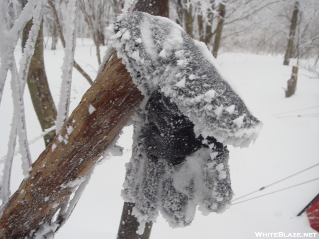 A Frozen Fleece Glove