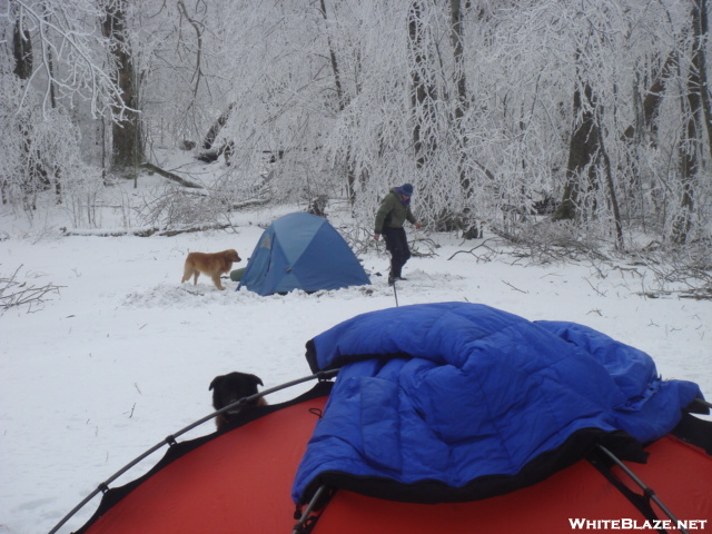 Hootyhoo's Camp At Cold Gap