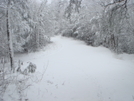 Hiking Up To Farr Gap On Doublecamp Road by Tipi Walter in Views in North Carolina & Tennessee