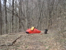 Little Mitten's New Tent by Tipi Walter in Tent camping