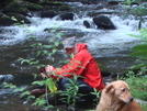 Hootyhoo On The South Fork Citico by Tipi Walter in Faces of WhiteBlaze members