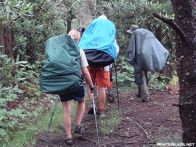 The Scouts Head North