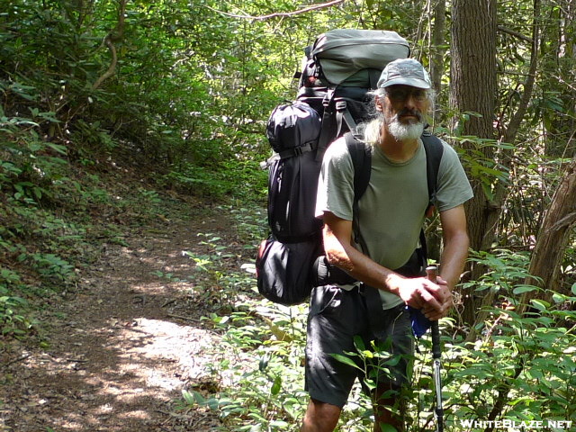 Uncle Fungus In The Bald River Wilderness