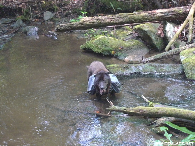 Shunka Crossing Kirkland Creek