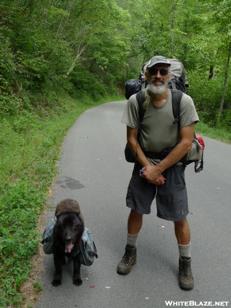 Four Mile Roadwalk On Tellico River Road