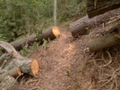 Long Branch Trail by Tipi Walter in Views in North Carolina & Tennessee