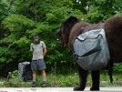 Still Life At Grassy Gap Citico by Tipi Walter in Views in North Carolina & Tennessee