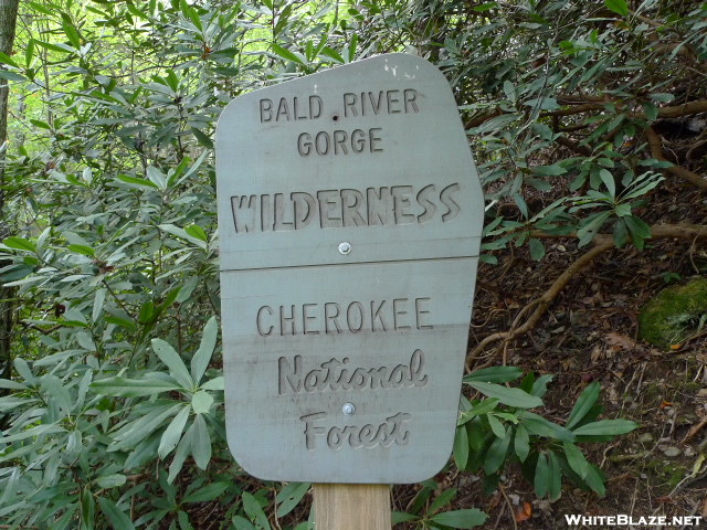 Bald River Sign