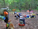 Hootyhoo Surveys The Sierra Club by Tipi Walter in Other People