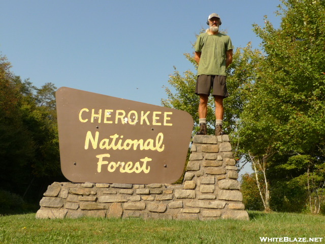 Surveying My Cherokee Forest Kingdom