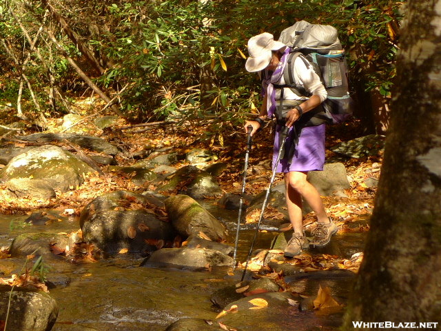 Regina Crossing Slickrock Creek