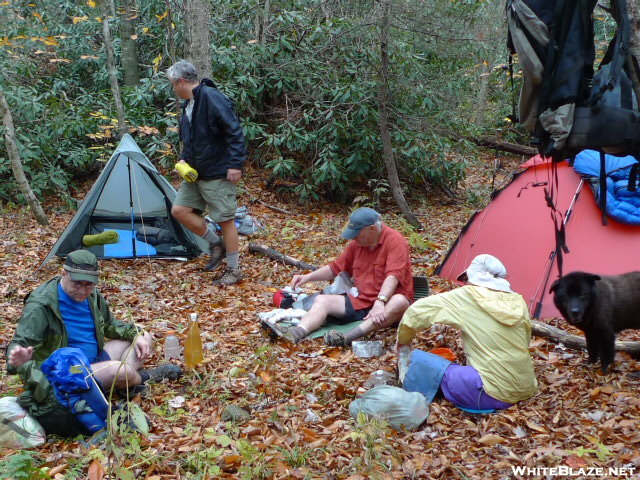 Bmta Camping In The Bob Wedge