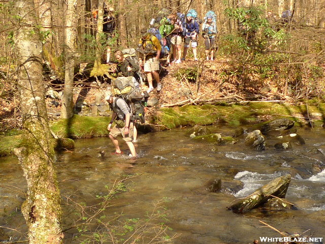 Cranberries Crossing The Slickrock