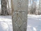 Signpost At The South Fork Trailhead