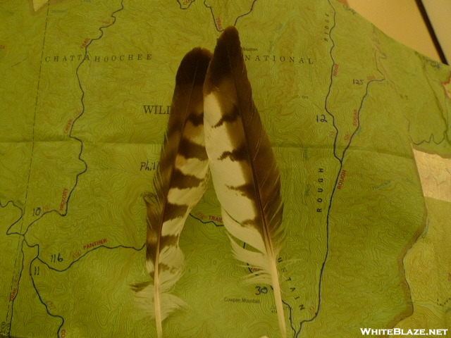Cohutta Trail Map With Hawk Feathers