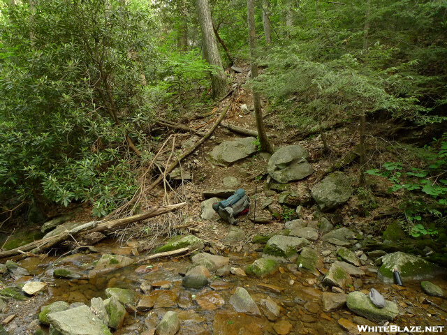 Panther Creek Nutbuster Beginning