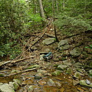 Panther Creek Nutbuster Beginning by Tipi Walter in Views in Georgia