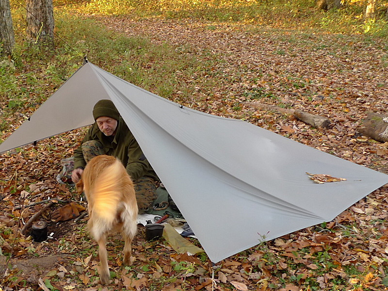 Tarp Living With Hootyhoo at Cold Gap