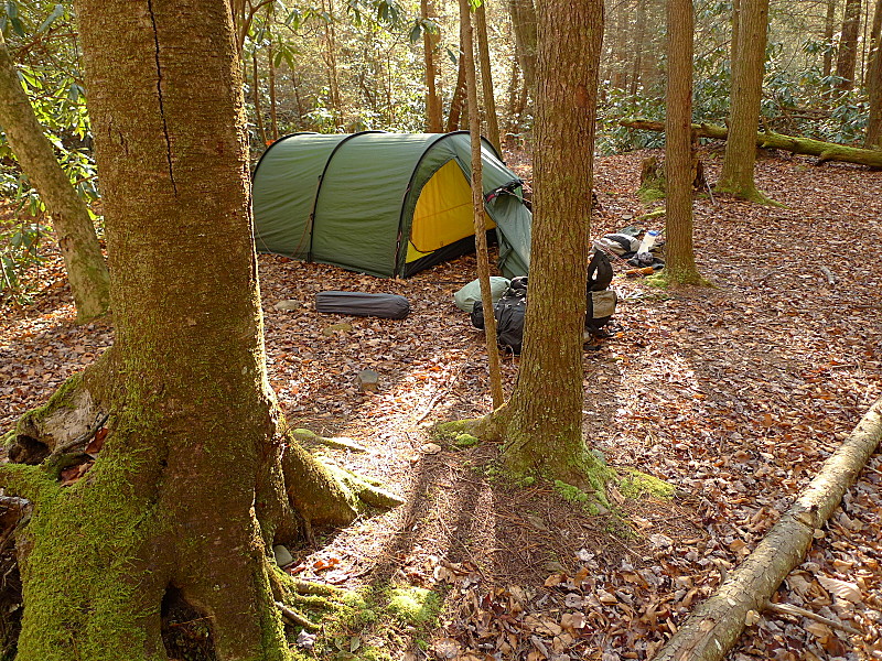 Day 3 At Horse Camp On The Brookshire Trail