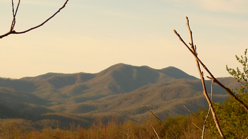 A View of Waucheesi Mt From the Long Branch