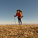 Uncle Fungus On Top Of Huckleberry Knob by Tipi Walter in Views in North Carolina & Tennessee