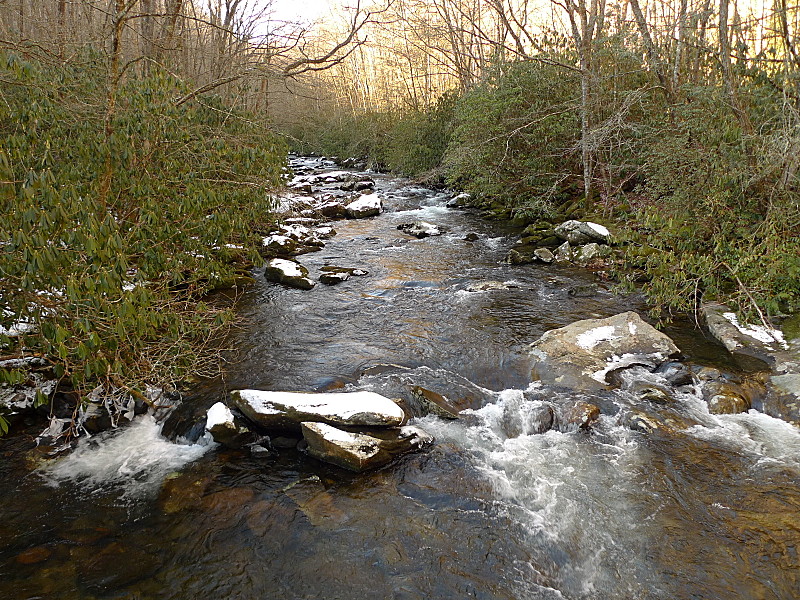 The Mighty Snowbird Creek In NC