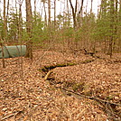 Turkey Feather Camp On Long Branch Trail