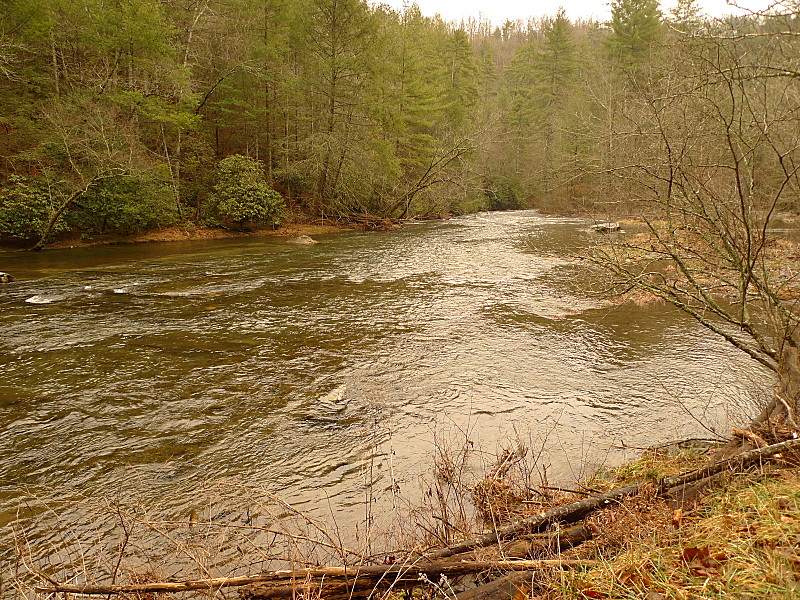 Tellico River Roadwalk Into Bald River Wilderness